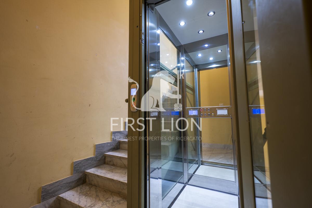 Rifinito appartamento di ampia metratura in zona San Lazzaro First Lion Lecce (14) Rifinito appartamento di ampia metratura in zona San Lazzaro